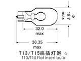 T13/T15 flat plug bulb